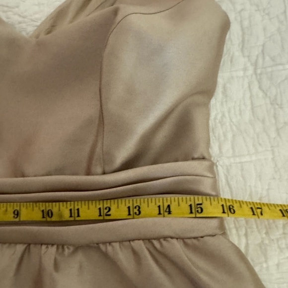 Backless Adrianna Papell, champagne, formal dress. Gorgeous. size 12 - Picture 7 of 16